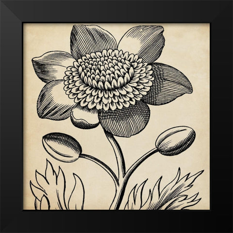 Graphic Floral III Black Modern Wood Framed Art Print by Vision Studio