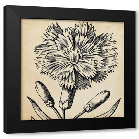 Graphic Floral IV Black Modern Wood Framed Art Print with Double Matting by Vision Studio
