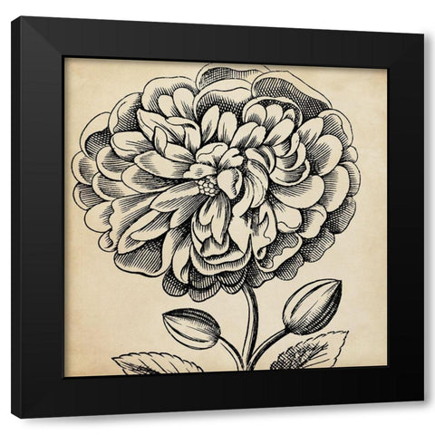 Graphic Floral V Black Modern Wood Framed Art Print by Vision Studio