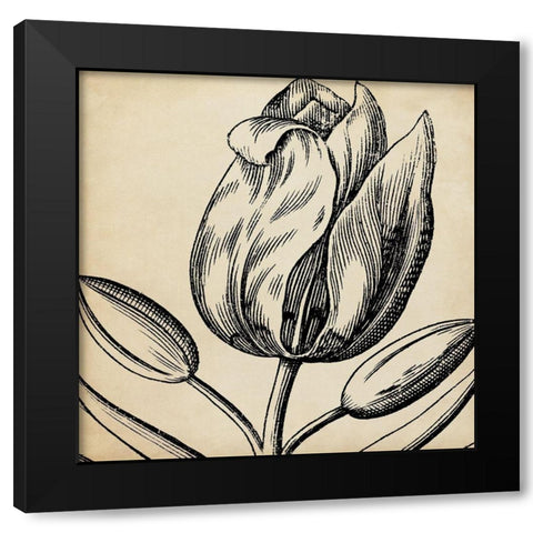 Graphic Floral VI Black Modern Wood Framed Art Print by Vision Studio