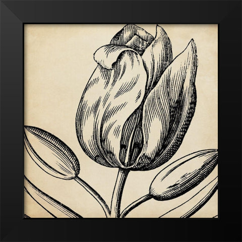 Graphic Floral VI Black Modern Wood Framed Art Print by Vision Studio