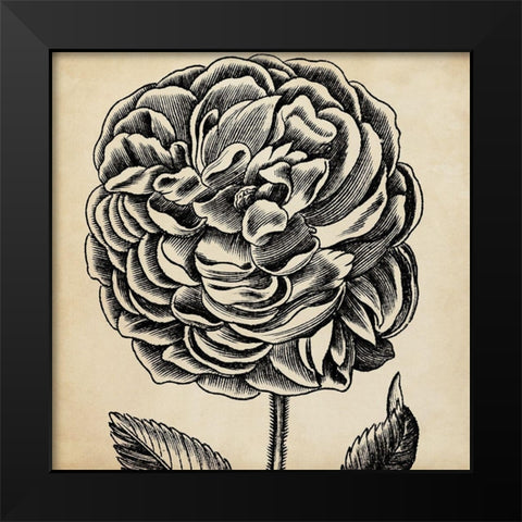 Graphic Floral VII Black Modern Wood Framed Art Print by Vision Studio