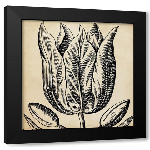 Graphic Floral VIII Black Modern Wood Framed Art Print by Vision Studio
