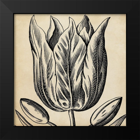 Graphic Floral VIII Black Modern Wood Framed Art Print by Vision Studio