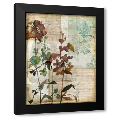 Music Box Floral I Black Modern Wood Framed Art Print with Double Matting by Goldberger, Jennifer