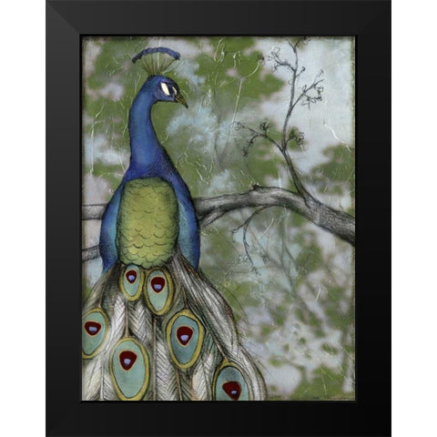 Peacock Reflections II Black Modern Wood Framed Art Print by Goldberger, Jennifer