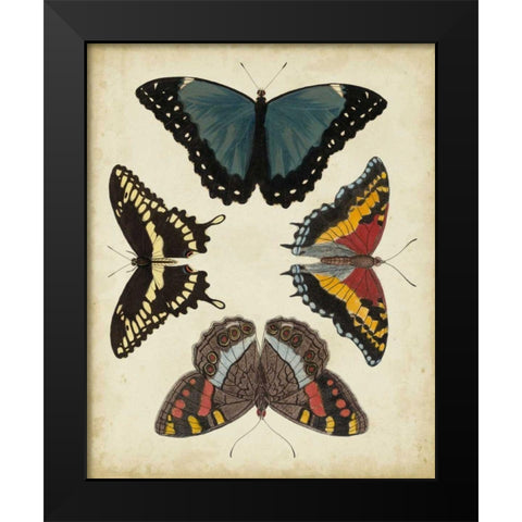 Display of Butterflies I Black Modern Wood Framed Art Print by Vision Studio