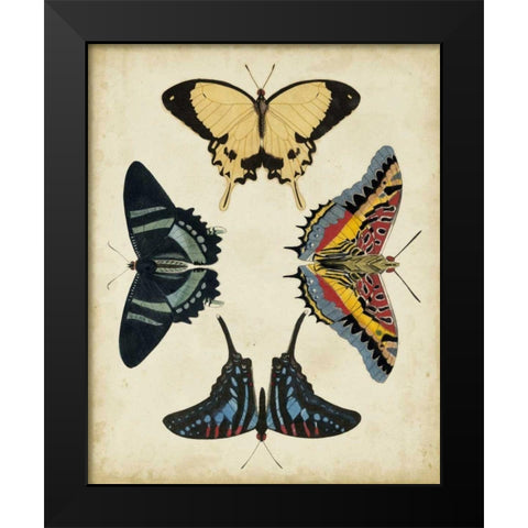 Display of Butterflies III Black Modern Wood Framed Art Print by Vision Studio