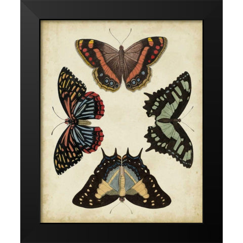 Display of Butterflies IV Black Modern Wood Framed Art Print by Vision Studio