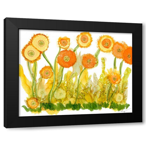 Sunlit Poppies II Black Modern Wood Framed Art Print by Baynes, Cheryl