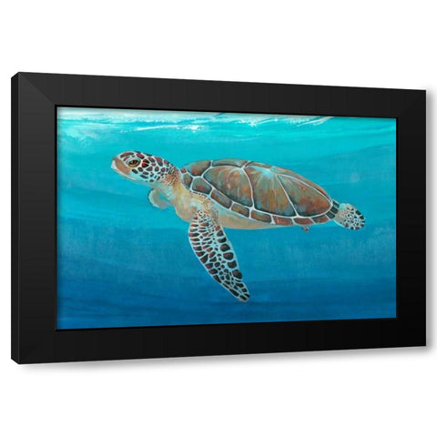 Ocean Sea Turtle II Black Modern Wood Framed Art Print with Double Matting by OToole, Tim