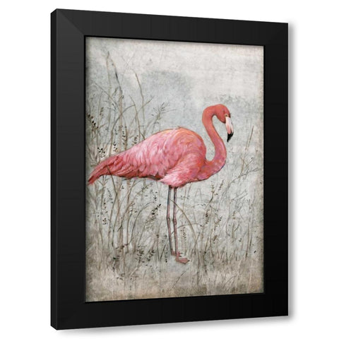 American Flamingo I Black Modern Wood Framed Art Print with Double Matting by OToole, Tim