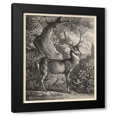 Woodland Deer I Black Modern Wood Framed Art Print with Double Matting by Ridinger