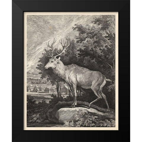 Woodland Deer II Black Modern Wood Framed Art Print by Ridinger
