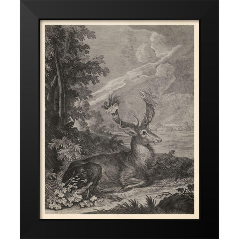 Woodland Deer III Black Modern Wood Framed Art Print by Ridinger