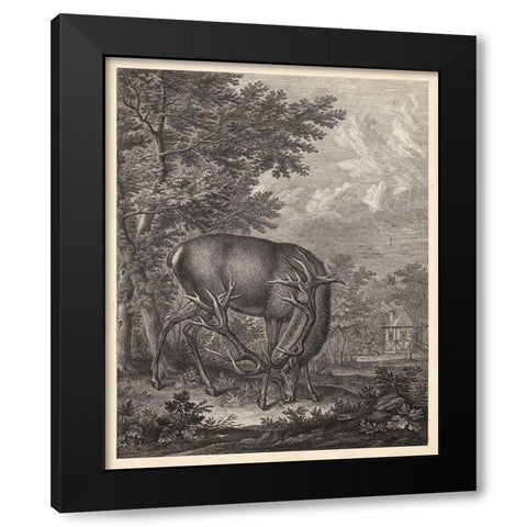 Woodland Deer IV Black Modern Wood Framed Art Print with Double Matting by Ridinger