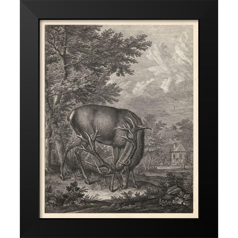 Woodland Deer IV Black Modern Wood Framed Art Print by Ridinger