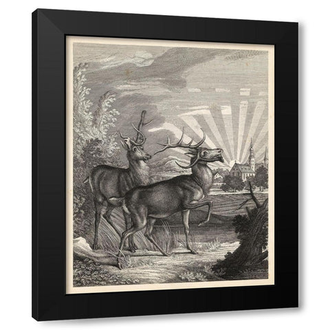 Woodland Deer V Black Modern Wood Framed Art Print by Ridinger