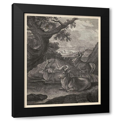 Woodland Deer VI Black Modern Wood Framed Art Print by Ridinger