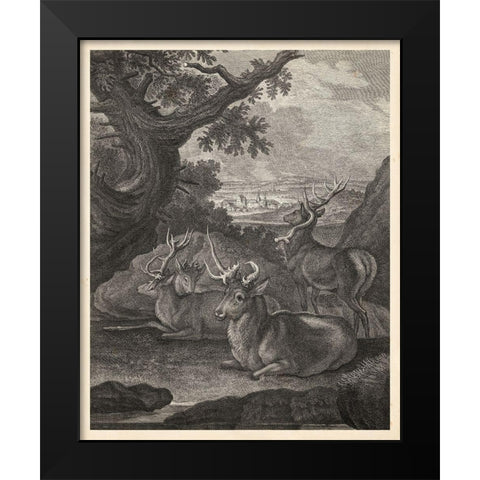 Woodland Deer VI Black Modern Wood Framed Art Print by Ridinger