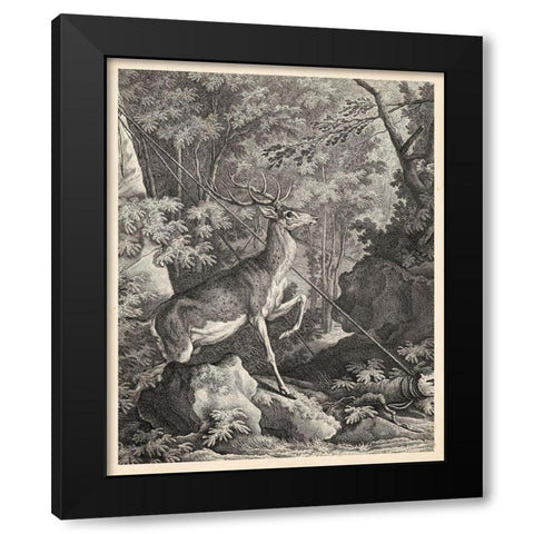 Woodland Deer VII Black Modern Wood Framed Art Print by Ridinger