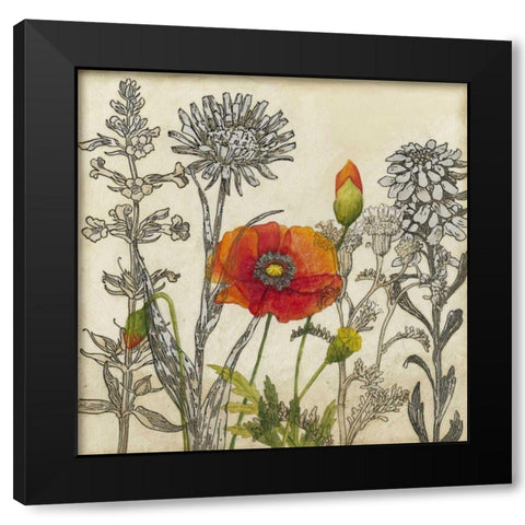 Emerging Poppy Black Modern Wood Framed Art Print with Double Matting by Meagher, Megan