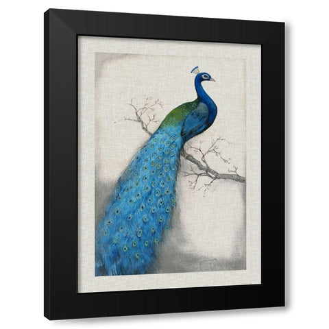 Custom Peacock Blue I (ASH) Black Modern Wood Framed Art Print with Double Matting by OToole, Tim