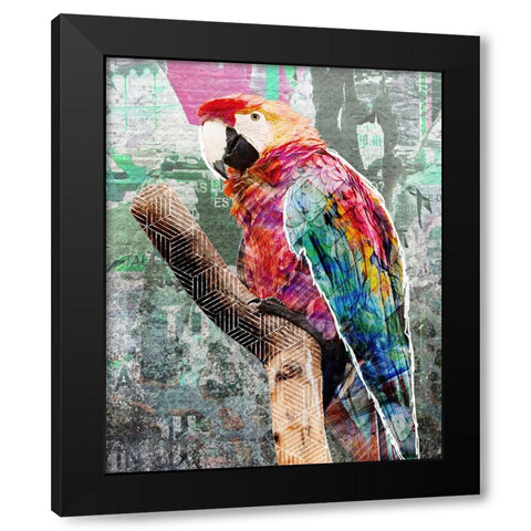 Pop Art - Parrot Black Modern Wood Framed Art Print with Double Matting by Inner Circle