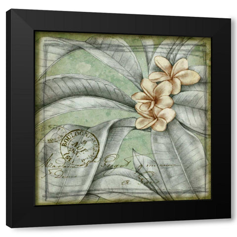 Postmark Tropicals I Black Modern Wood Framed Art Print with Double Matting by Goldberger, Jennifer