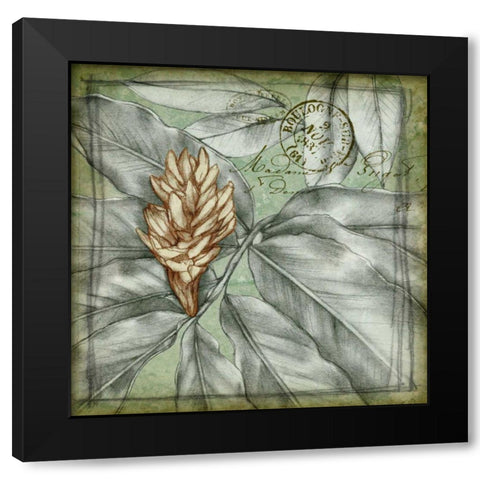 Postmark Tropicals II Black Modern Wood Framed Art Print with Double Matting by Goldberger, Jennifer