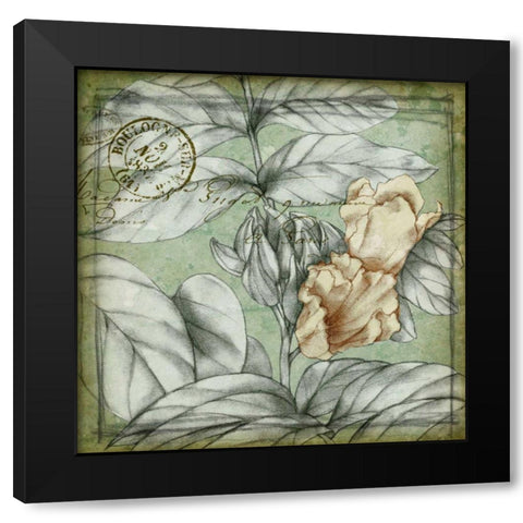 Postmark Tropicals III Black Modern Wood Framed Art Print with Double Matting by Goldberger, Jennifer