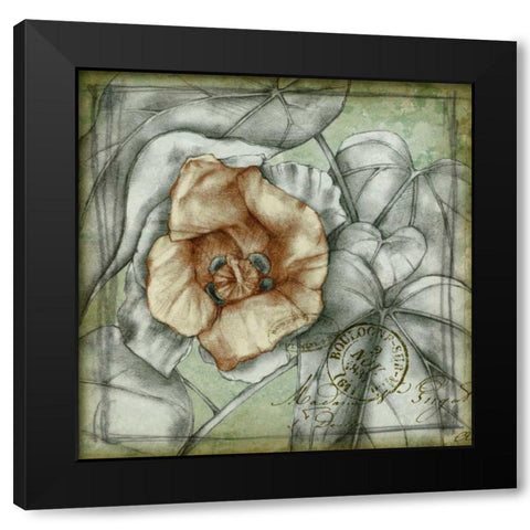 Postmark Tropicals IV Black Modern Wood Framed Art Print with Double Matting by Goldberger, Jennifer