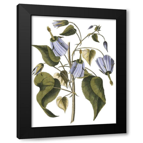 Lavender Floral I Black Modern Wood Framed Art Print with Double Matting by Vision Studio