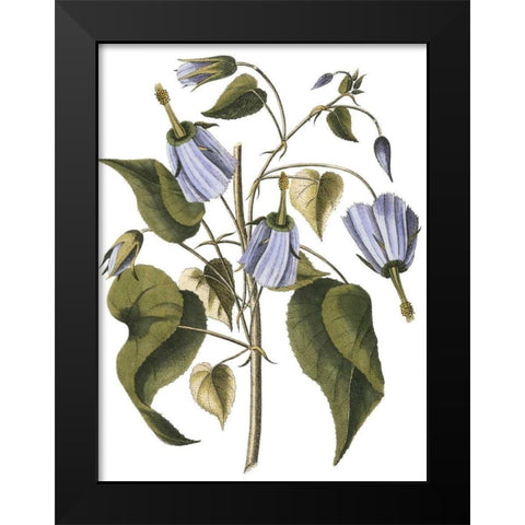 Lavender Floral I Black Modern Wood Framed Art Print by Vision Studio