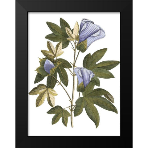 Lavender Floral II Black Modern Wood Framed Art Print by Vision Studio