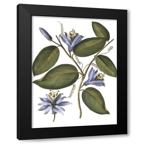 Lavender Floral III Black Modern Wood Framed Art Print by Vision Studio
