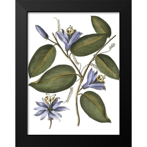 Lavender Floral III Black Modern Wood Framed Art Print by Vision Studio