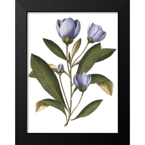 Lavender Floral IV Black Modern Wood Framed Art Print by Vision Studio