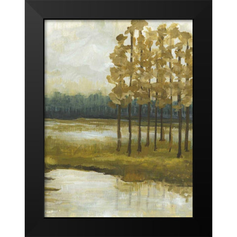 Etoile II Black Modern Wood Framed Art Print by McMullen, Charles