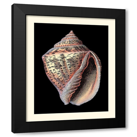 Treasures of the Sea V Black Modern Wood Framed Art Print with Double Matting by Redoute, Pierre