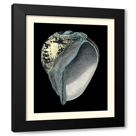 Treasures of the Sea VI Black Modern Wood Framed Art Print with Double Matting by Redoute, Pierre