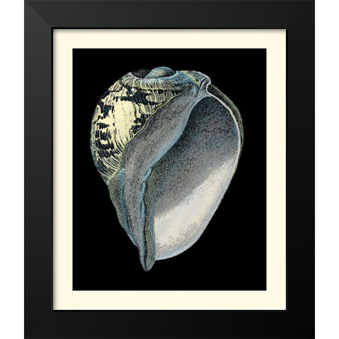 Treasures of the Sea VI Black Modern Wood Framed Art Print by Redoute, Pierre