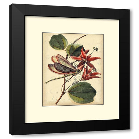Petite Dragonflies III Black Modern Wood Framed Art Print with Double Matting by Vision Studio