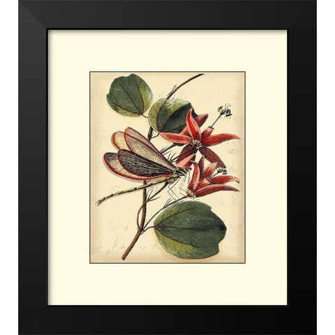 Petite Dragonflies III Black Modern Wood Framed Art Print by Vision Studio