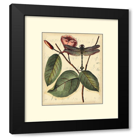 Petite Dragonflies IV Black Modern Wood Framed Art Print with Double Matting by Vision Studio