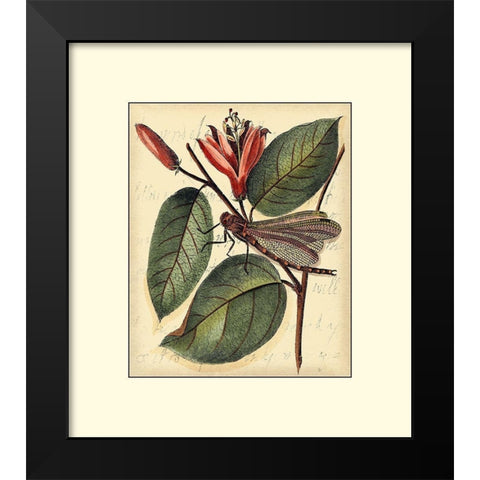Petite Dragonflies V Black Modern Wood Framed Art Print by Vision Studio