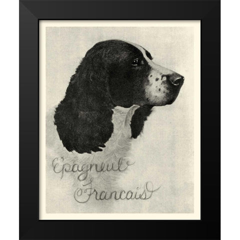 B and W Epagneul Francais Black Modern Wood Framed Art Print by Vision Studio