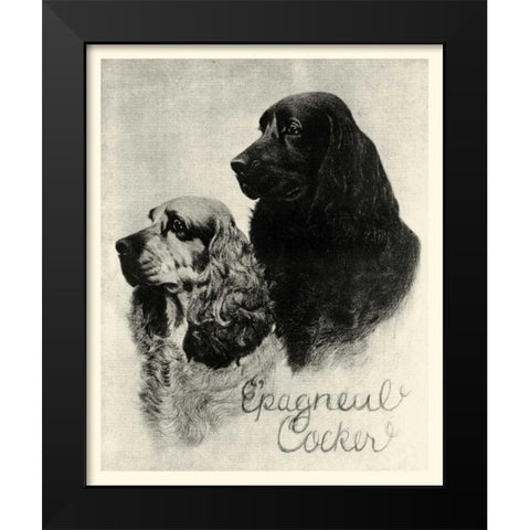B and W Epagneul Cocker Black Modern Wood Framed Art Print by Vision Studio