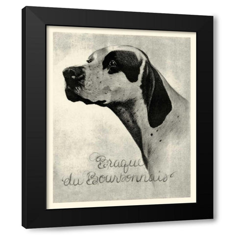 B and W Brague du Bourbonnais Black Modern Wood Framed Art Print by Vision Studio