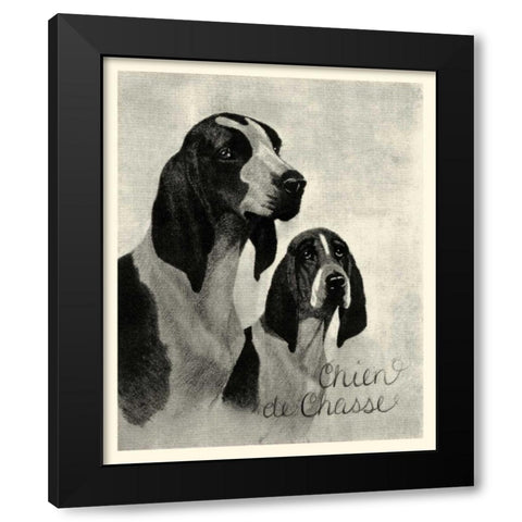 B and W Chien de Chasse Black Modern Wood Framed Art Print with Double Matting by Vision Studio